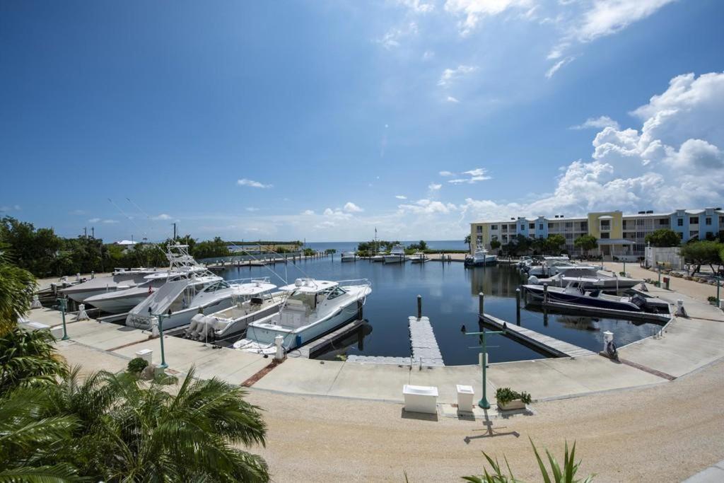 Licensed Mgr - 3/3.5 Modern Villa - Key Largo'S Premier Oceanfront Resort And Marina! Экстерьер фото